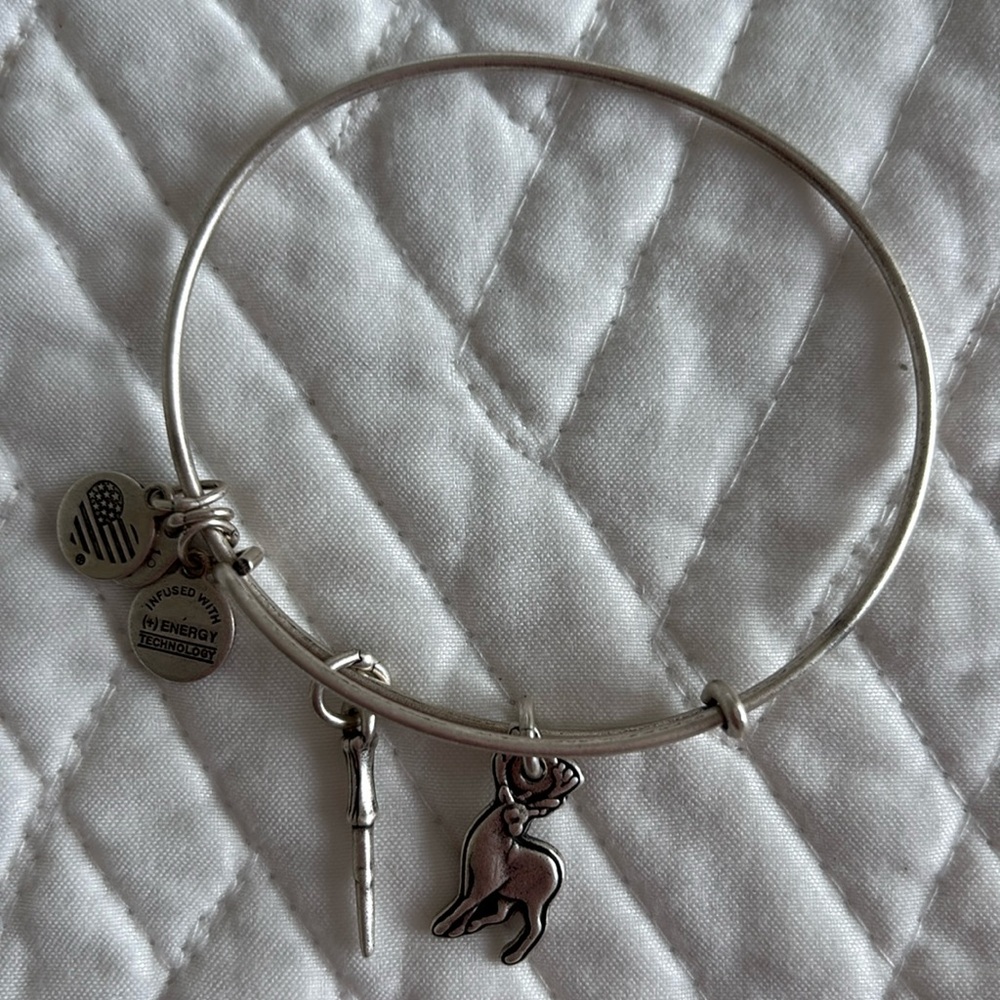 Alex and Ani x Harry Potter Patronus Charm Bracelet